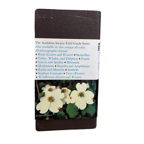 Audubon Society Book Field Guide to North American Trees Eastern Region Forestry - Picture 2 of 9